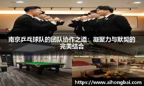 南京乒乓球队的团队协作之道：凝聚力与默契的完美结合